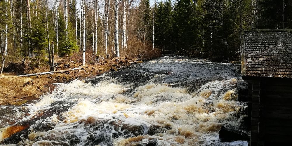 Tavikosken mylly, Valtimo