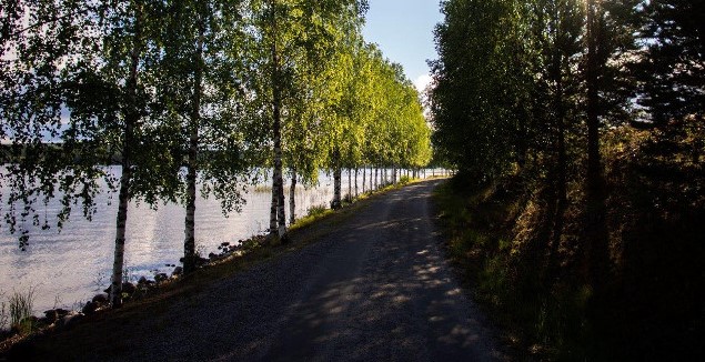 Kuvassa rantaraitin kesäinen maisema.