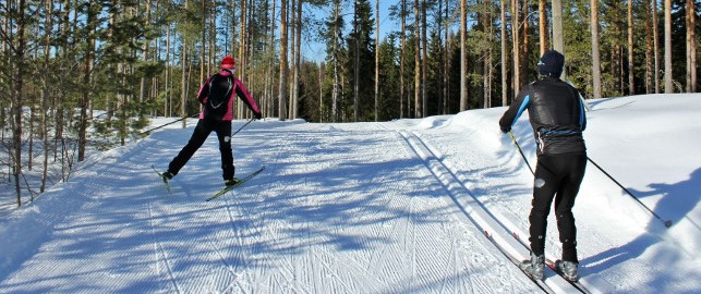 Kuva hiihtäjistä ladulla