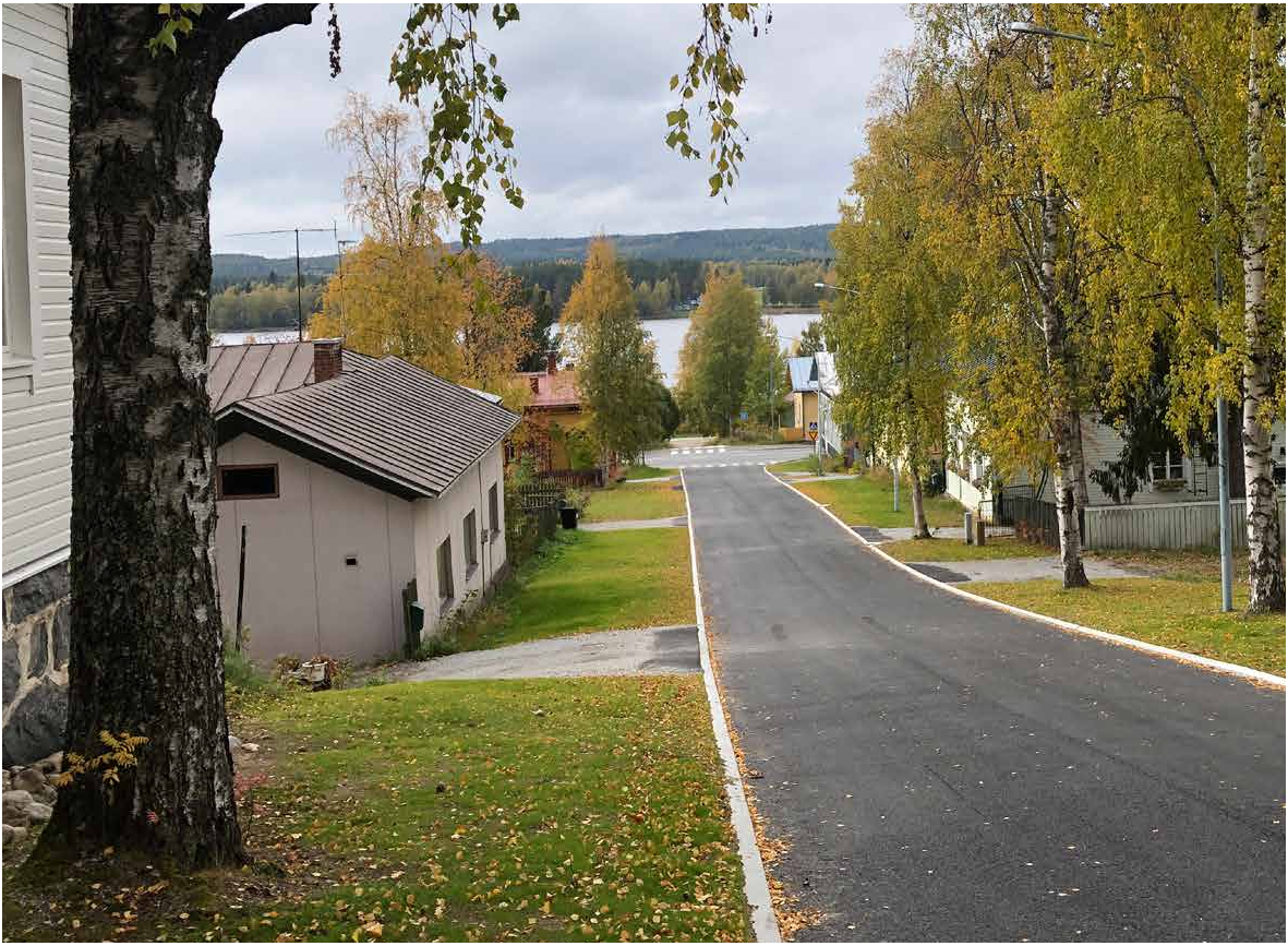 syksyinen katumaisema puu Nurmeksessa