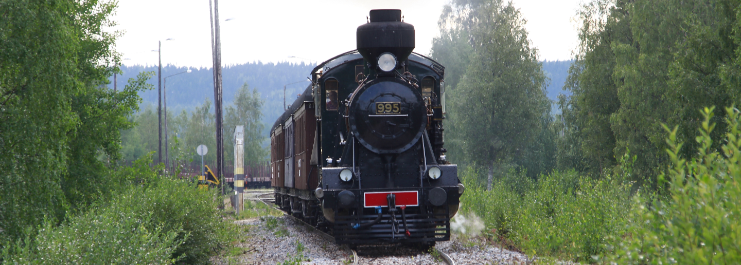 Kuvituskuva, jossa höyryveturi